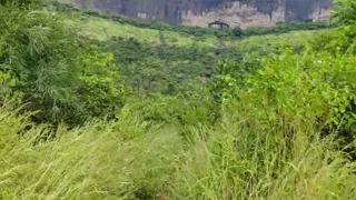 S-285. Fuck in forest again