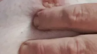 Titten Quickie