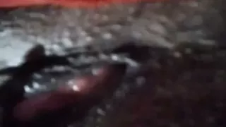 Romantic Indian girl in bed at night
