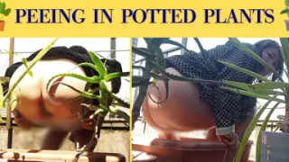 I Pee in the Potted Plant Again