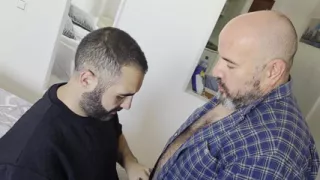 Young Bear and Mature Bear Having Fun