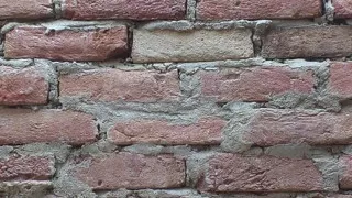 Sexy Video