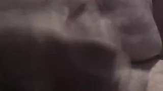 Handsome Mature Chubby with Big Fat Cock Masturbating Until I Cum a Lot in the Foreground for You Comments