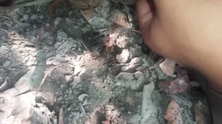 Desi Land Ki Chudai