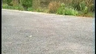 Walking in Heels