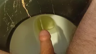 Piss sitting on my toilet.