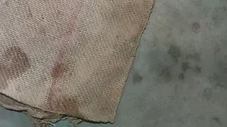 Indian bhabhi sex