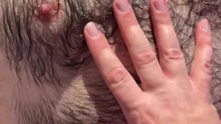 Bear Shower Worship