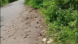 I took off my clothes and masturbated by the roadside