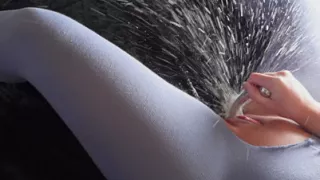 Steamy POV Pantyhose Squirt