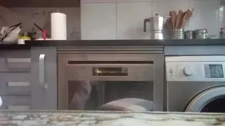 Jerking off Myself Till I Cum