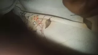 Bangla vabi voice of hot video Next part