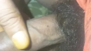 Cock Fun 1