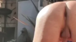 Garden Nudity & Fun