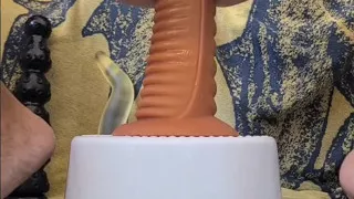 a selection of dildos