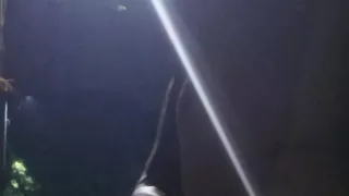 In the middle of the night I took off my clothes and had sex