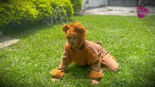 Natgio Mix Lion and Leopard Wild Sex Game