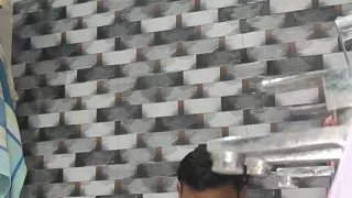 Aysha Qween 