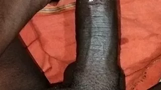 Indian hot panis