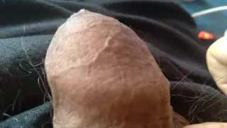 boy in the company of his tremendous cock