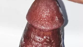 Wet Pussy Chubby Teen Wants Big Black Dick.