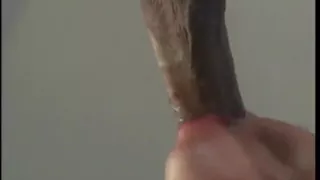 Hung dude fucks hot blonde's mouth, pussy on the bed
