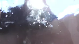 Piss right in your face and mouth!