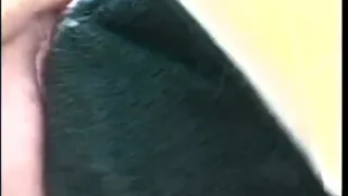 Fat bitch Patty Parker lets some guy fuck her fat rolls