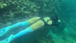 Im Your Little Mermaid