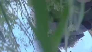 Outdoor Masturbation
