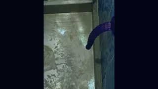 Back in the shower, playing with my anus again...