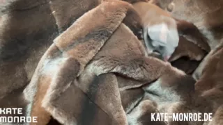 NYLON & PELZ ASMR von Kate Monroe