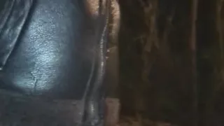 The Dirty Macho Bastard Walk
