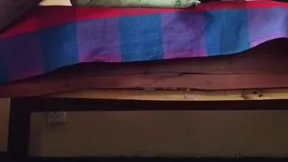 Bull cock fucking to sex doll fake pussy