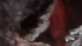 German fat hairy black pussy closeups