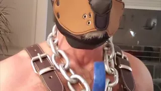 Pupdad