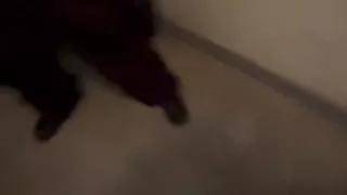 Teen Slut Has Rough Sex in Random Stairwell