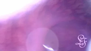 Look deep inside my ass!