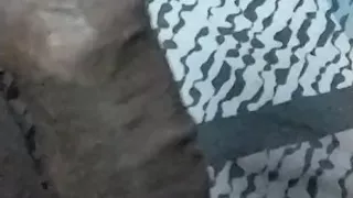 Kolkataboy