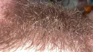 Brushing My Bush