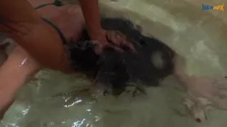 Bath of Discipline