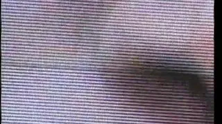 Black babe and dude have hardcore fuck on the carpet