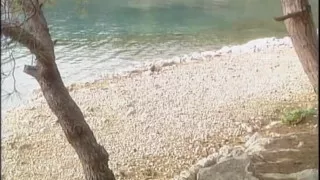 Blonde MILF Get Fucked by His Boyfriend in the Forest