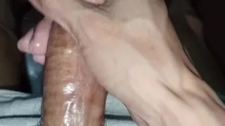 Meldaks