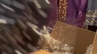 Fart Compilation 10 Thunderous Ten: a Showcase of Unstoppable Power by Bella Blast
