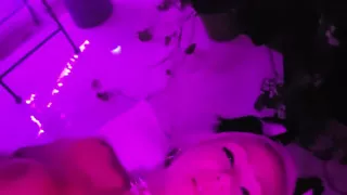 Pretty Party Smokey Kitty