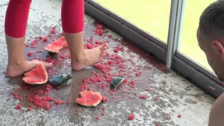 Watermelon feeding!