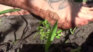 Lick my dirty feets bitch!