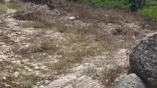 Naked walk