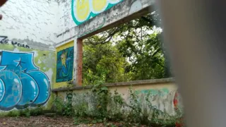 Sex in the Forest